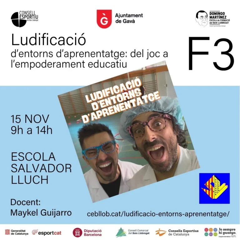 Formació ludificació