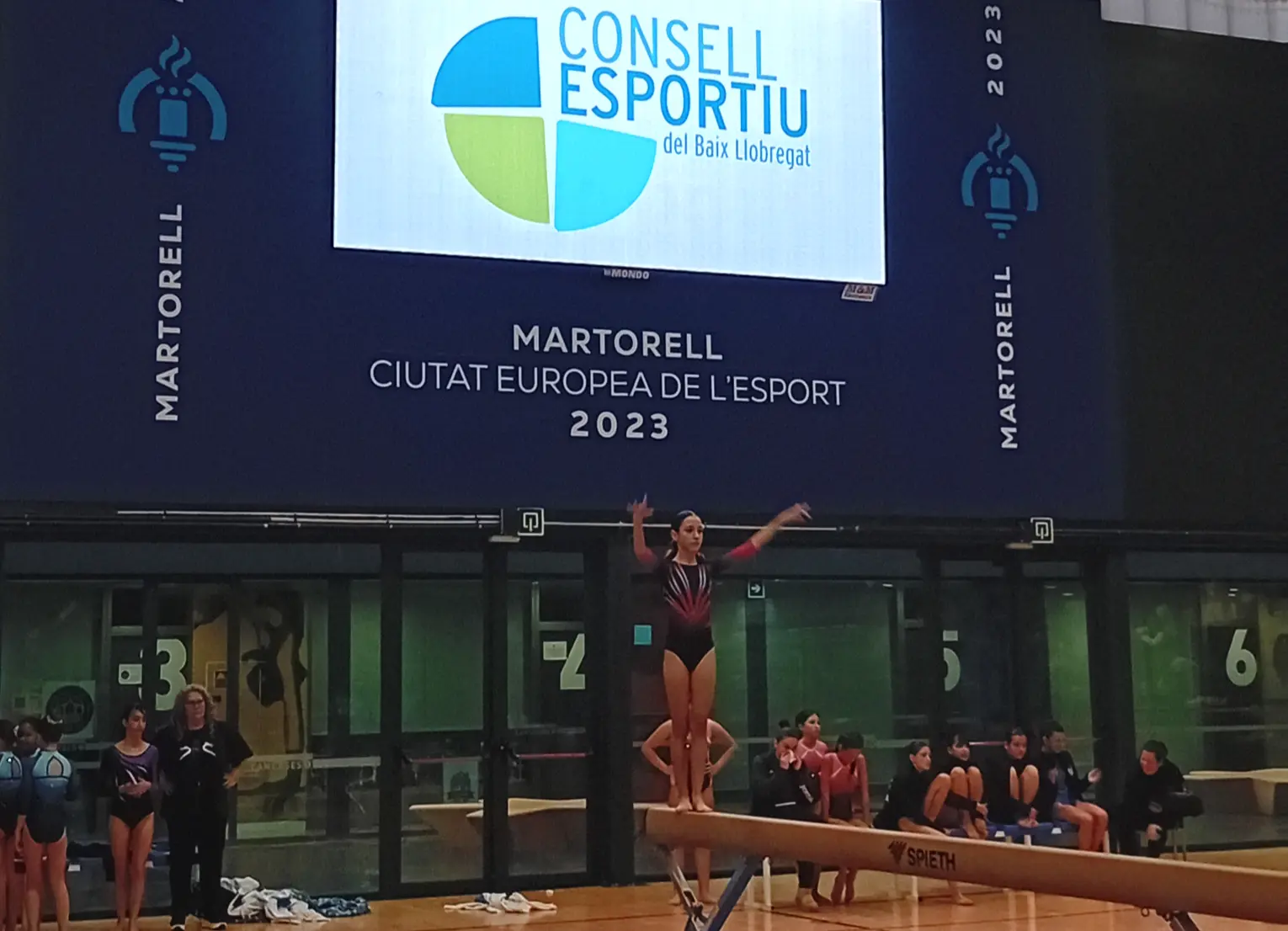 Jornada de Gimnàstica Artística del curs 24-25 a Esplugues de Llobregat. Foto: CEBLLOB